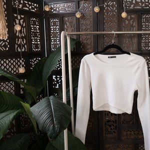 Zara Long Sleeve Crop Top